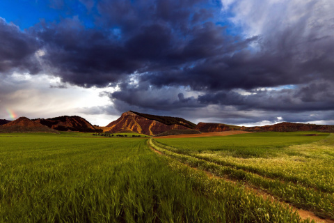 Field and Sky wallpaper 480x320