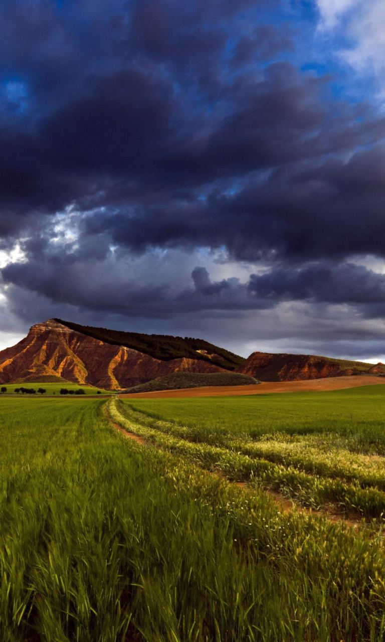 Field and Sky wallpaper 768x1280