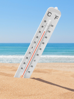 Fondo de pantalla Thermometer on Beach 240x320