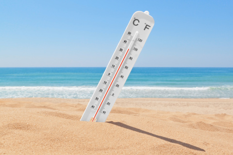 Fondo de pantalla Thermometer on Beach 480x320