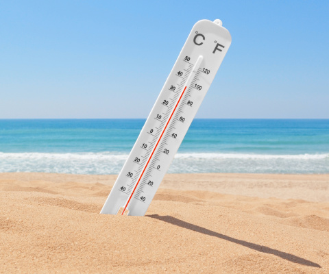 Das Thermometer on Beach Wallpaper 480x400