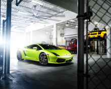 Das Neon Green Lamborghini Gallardo Wallpaper 220x176