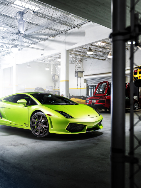 Fondo de pantalla Neon Green Lamborghini Gallardo 480x640