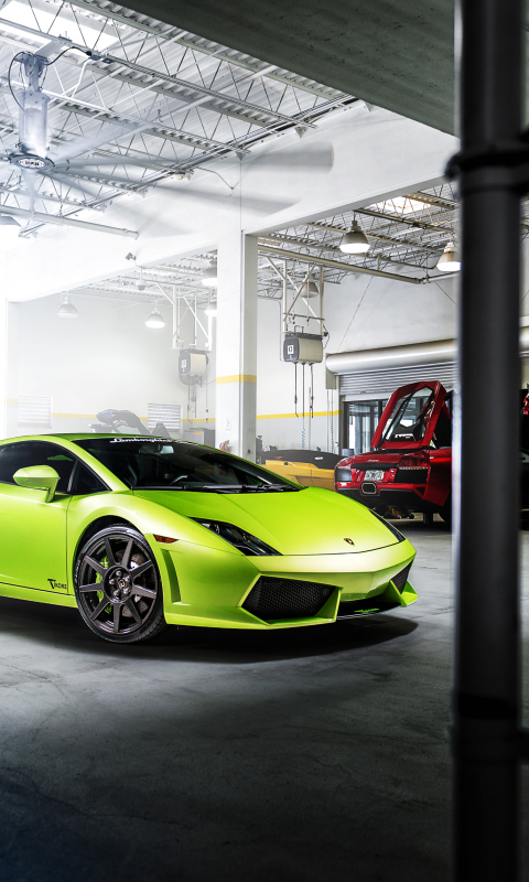 Обои Neon Green Lamborghini Gallardo 480x800