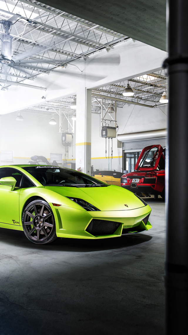 Обои Neon Green Lamborghini Gallardo 640x1136