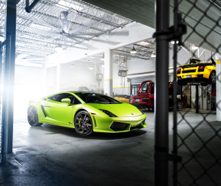 Обои Neon Green Lamborghini Gallardo на телефон 128x128