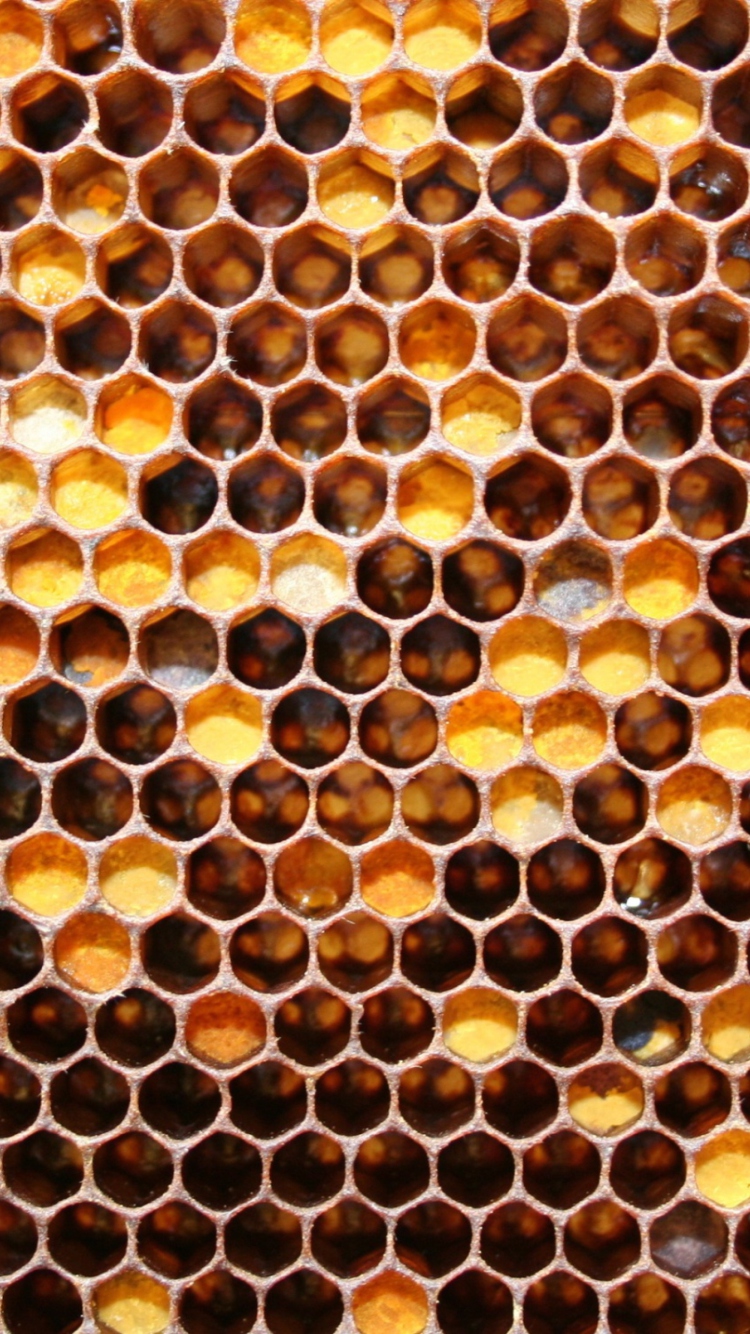 Das Honey Wallpaper 750x1334