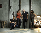 Michelle Rodriguez, Jordana Brewster, Vin Diesel, Paul Walker wallpaper 176x144