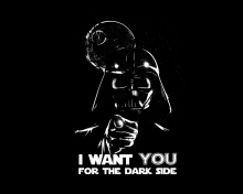 Fondo de pantalla Darth Vader's Dark Side 220x176