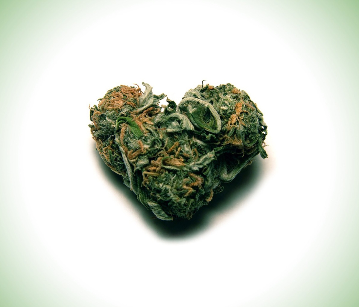 Fondo de pantalla I Love Weed Marijuana 1200x1024