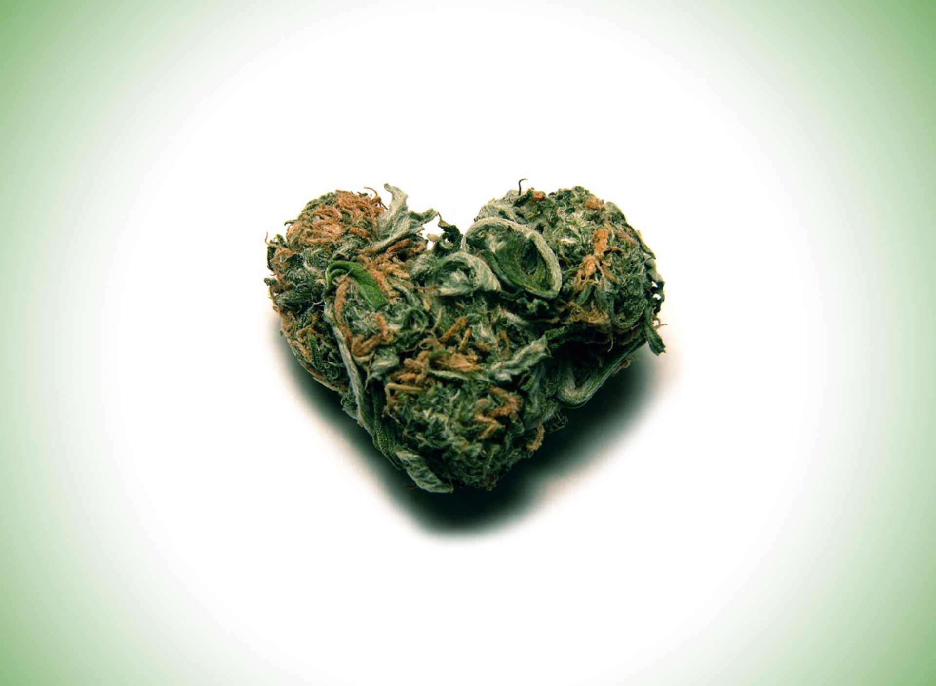 Sfondi I Love Weed Marijuana 1920x1408