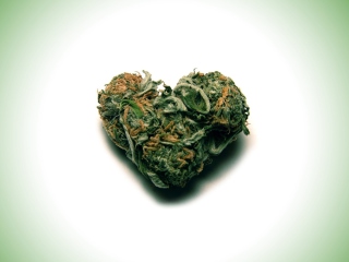 Fondo de pantalla I Love Weed Marijuana 320x240