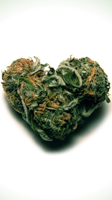 Fondo de pantalla I Love Weed Marijuana 360x640