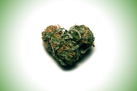 Fondo de pantalla I Love Weed Marijuana 480x320