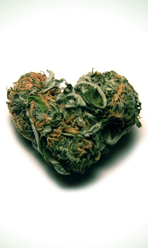 Fondo de pantalla I Love Weed Marijuana 480x800