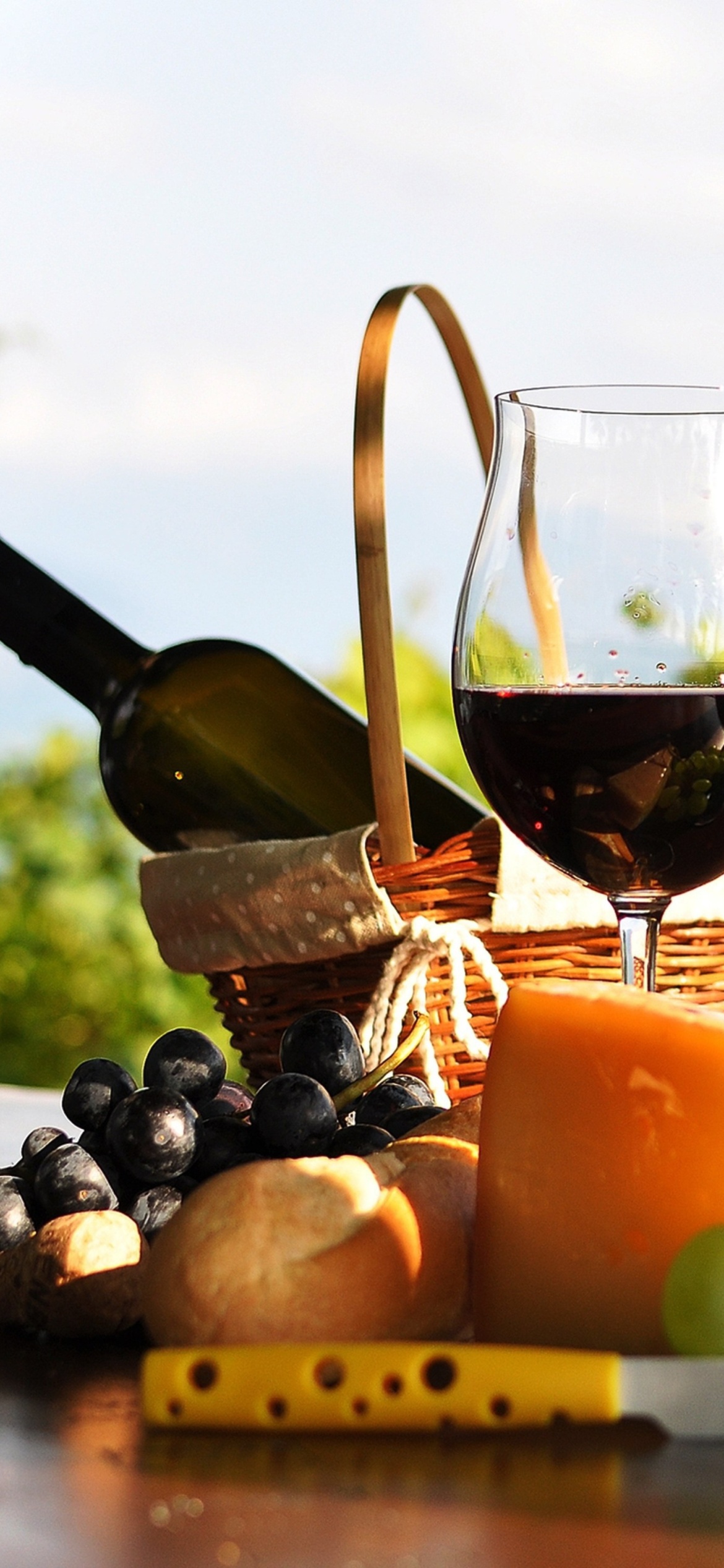 Sfondi Picnic with wine and grapes 1170x2532