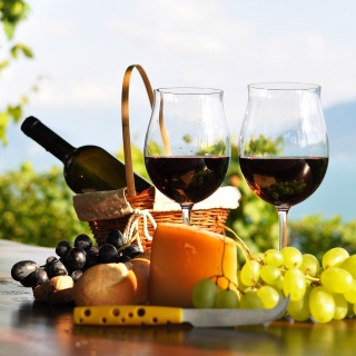 Picnic with wine and grapes Wallpaper for iPad mini