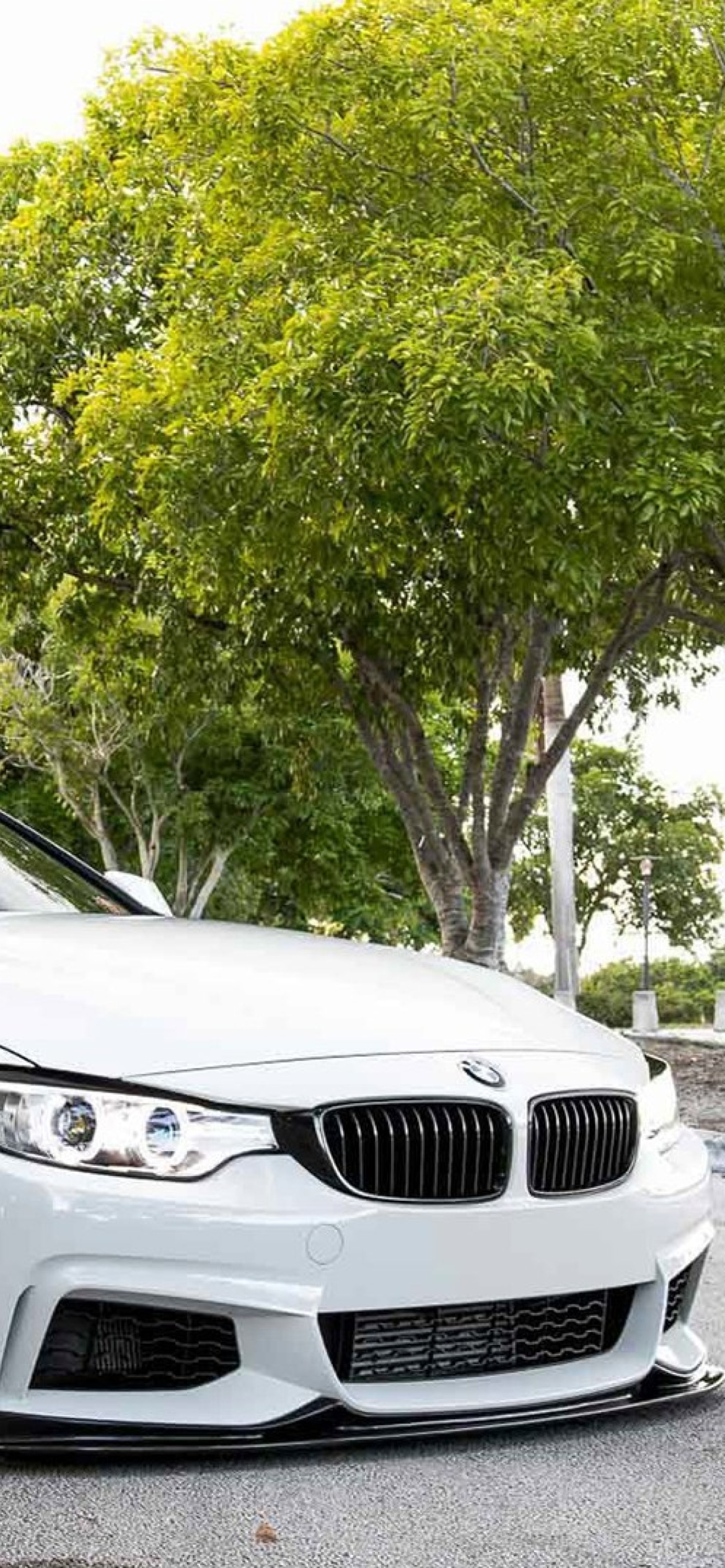 Das BMW 4 Series White Wallpaper 1170x2532