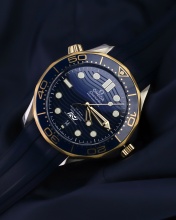 Mens Omega Seamaster Watches wallpaper 176x220