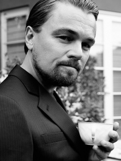 Leonardo DiCaprio screenshot #1 240x320