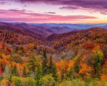 Das Autumn Mountains Alpine Panorama Wallpaper 220x176