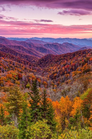 Das Autumn Mountains Alpine Panorama Wallpaper 320x480