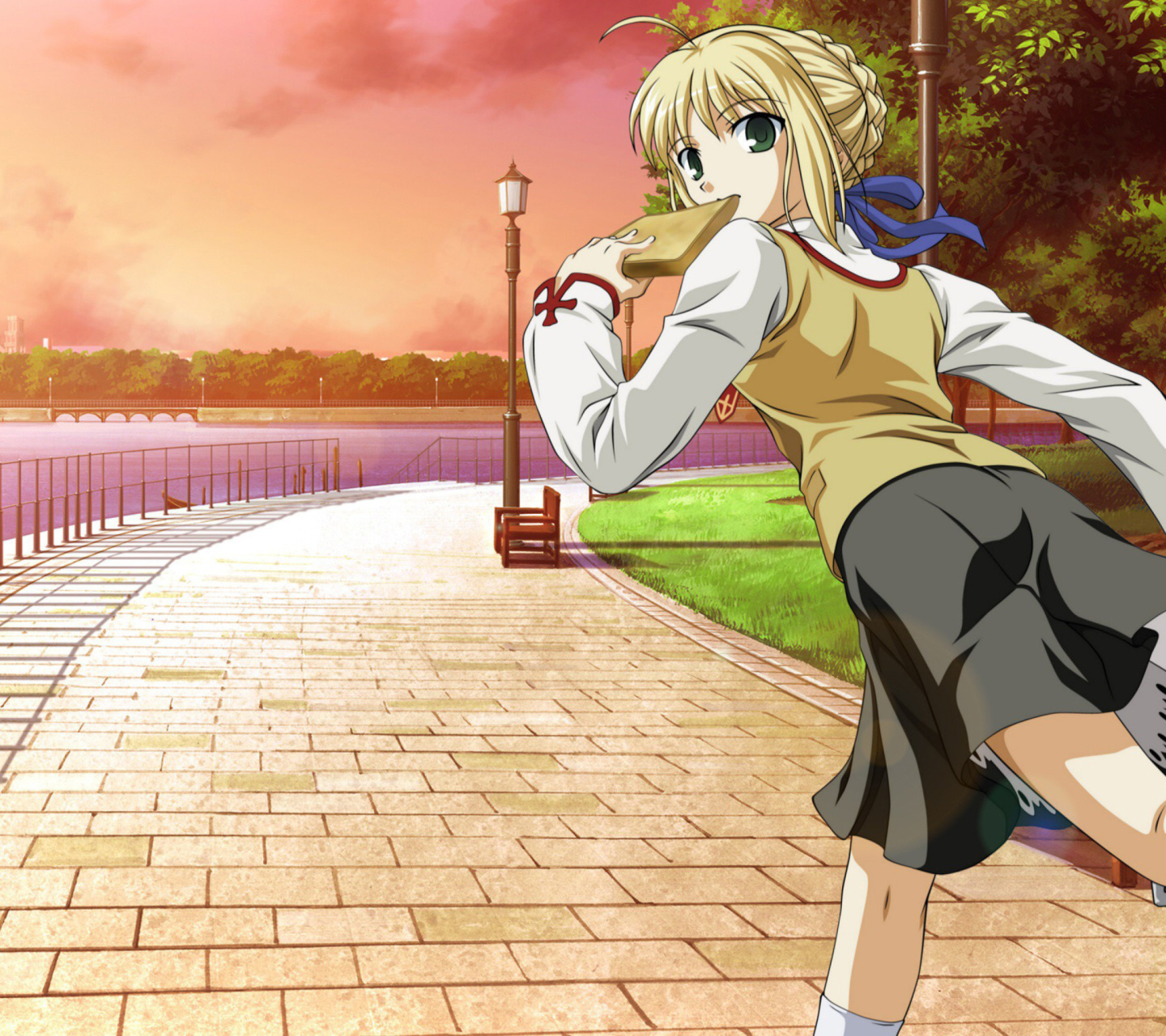 Fate stay night Saber Anime wallpaper 1440x1280