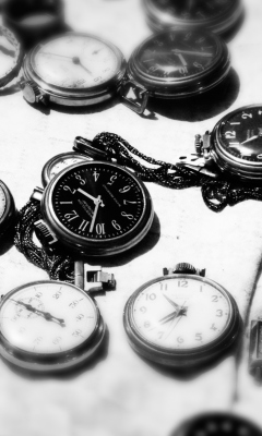 Vintage Pocket Watches screenshot #1 240x400
