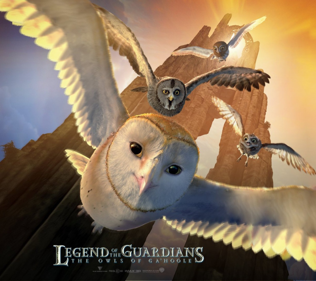 Fondo de pantalla Legend of the Guardians: The Owls of Ga'Hoole 1080x960