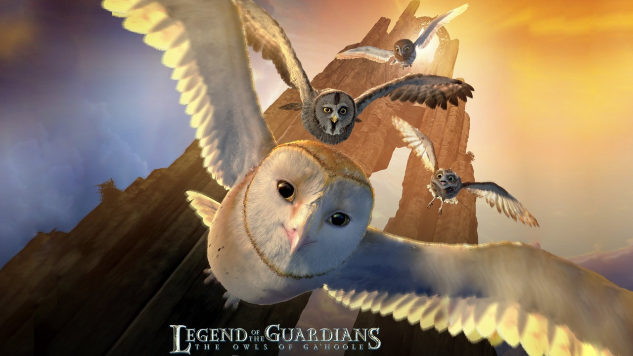 Das Legend of the Guardians: The Owls of Ga'Hoole Wallpaper 1280x720