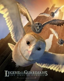Screenshot №1 pro téma Legend of the Guardians: The Owls of Ga'Hoole 128x160