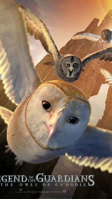 Fondo de pantalla Legend of the Guardians: The Owls of Ga'Hoole 360x640