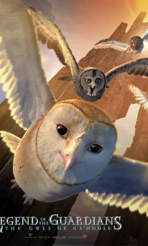 Fondo de pantalla Legend of the Guardians: The Owls of Ga'Hoole 480x800