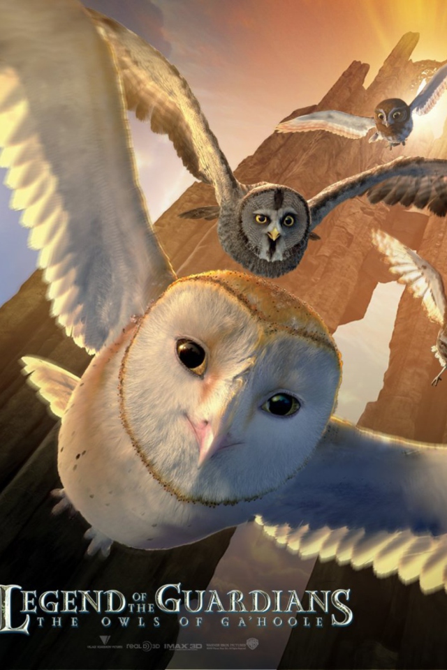 Sfondi Legend of the Guardians: The Owls of Ga'Hoole 640x960