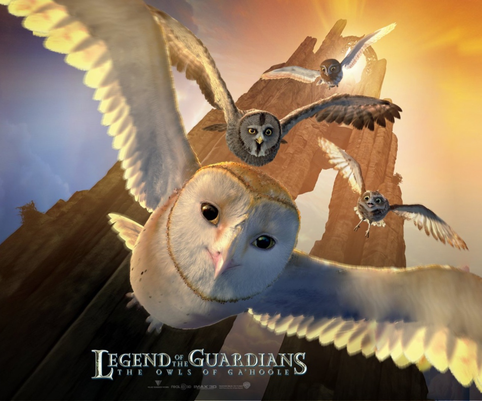 Fondo de pantalla Legend of the Guardians: The Owls of Ga'Hoole 960x800