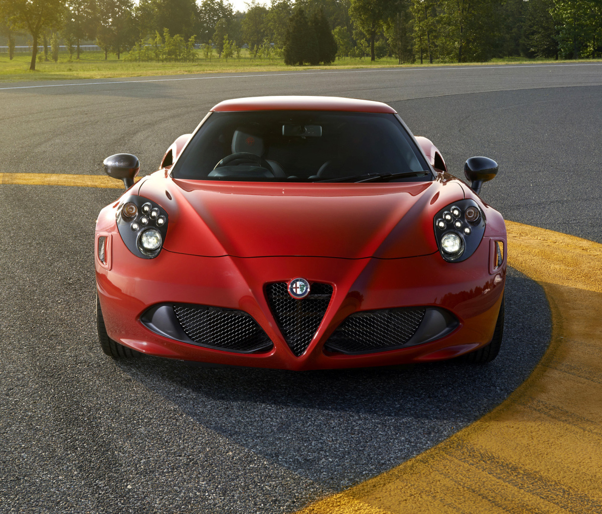 Screenshot №1 pro téma Alfa Romeo 4C Front View 1200x1024