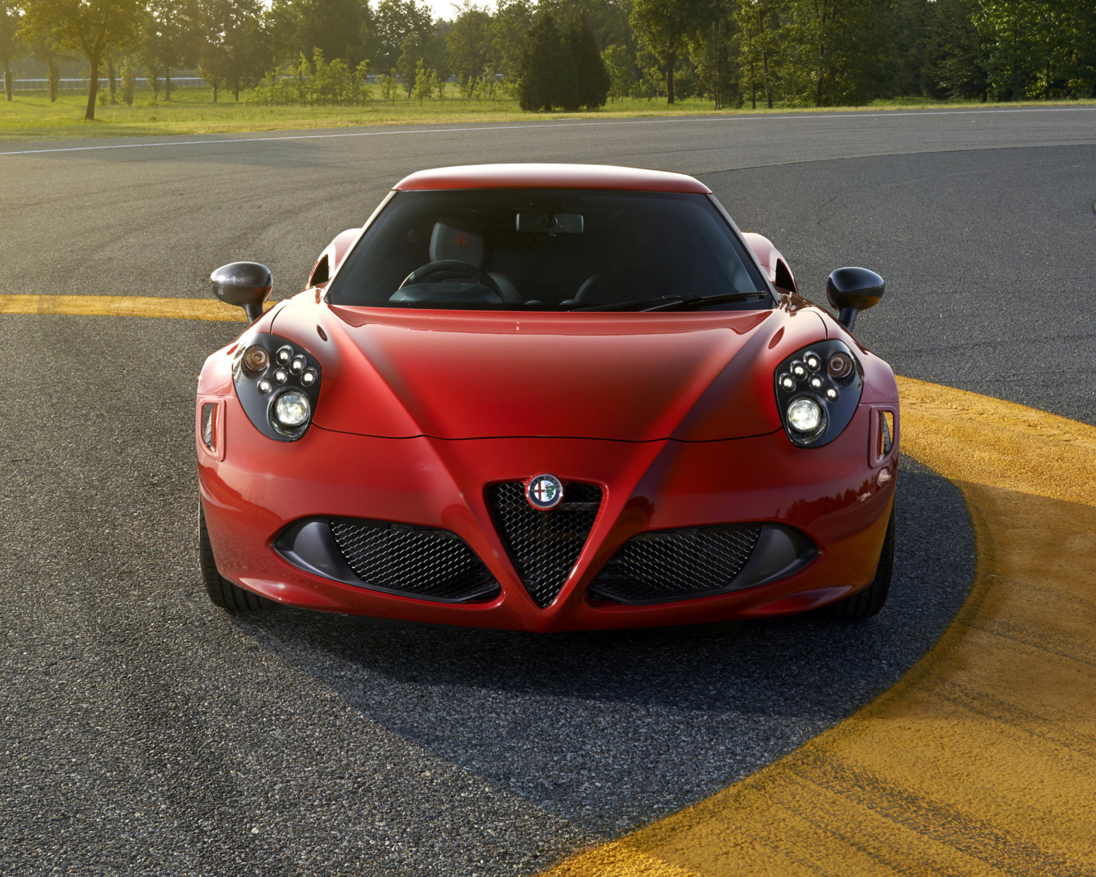 Screenshot №1 pro téma Alfa Romeo 4C Front View 1600x1280