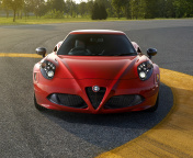 Alfa Romeo 4C Front View wallpaper 176x144