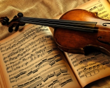 Das Violin And Notes Wallpaper 220x176