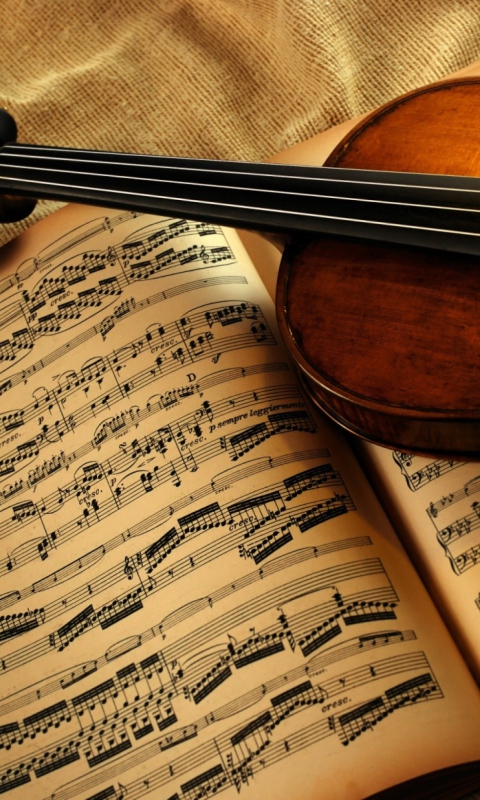 Violin And Notes screenshot #1 480x800