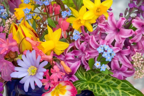 Spring Glamour Flowers wallpaper 480x320