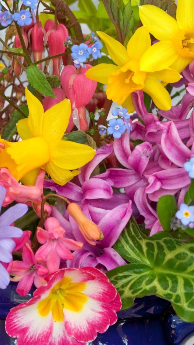 Spring Glamour Flowers wallpaper 640x1136