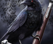 Raven wallpaper 176x144