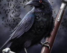Raven wallpaper 220x176