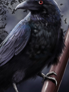 Screenshot №1 pro téma Raven 240x320