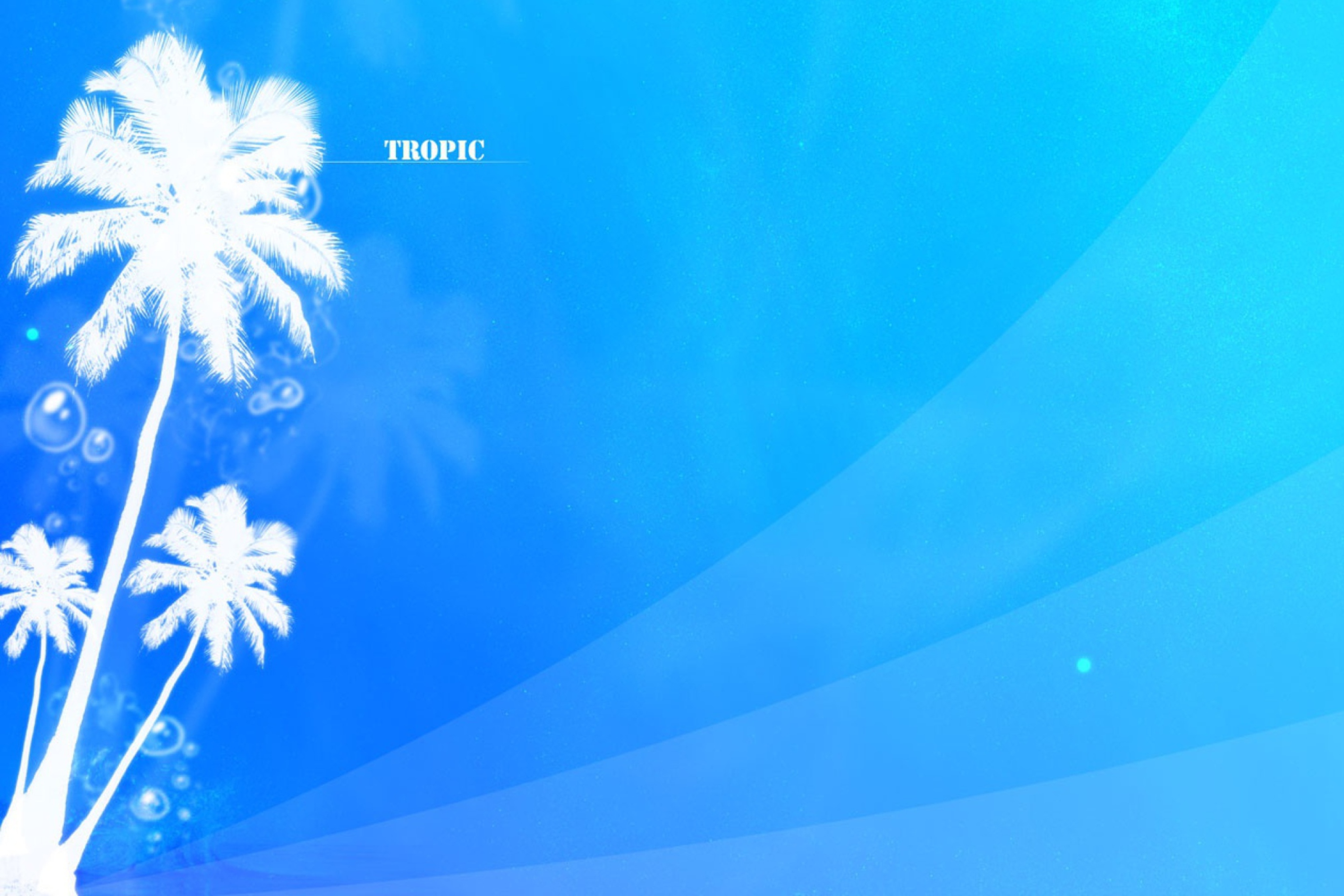 Screenshot №1 pro téma Tropic Abstract 2880x1920