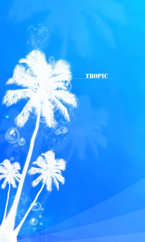 Fondo de pantalla Tropic Abstract 480x800