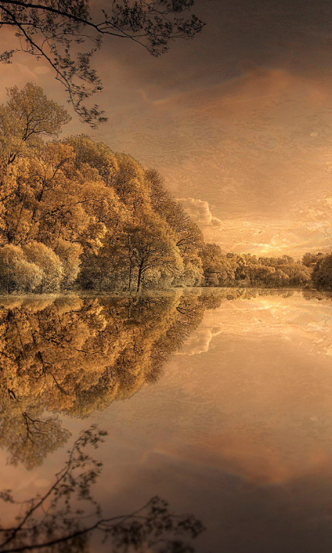 Das Autumn in Scandinavia Wallpaper 480x800