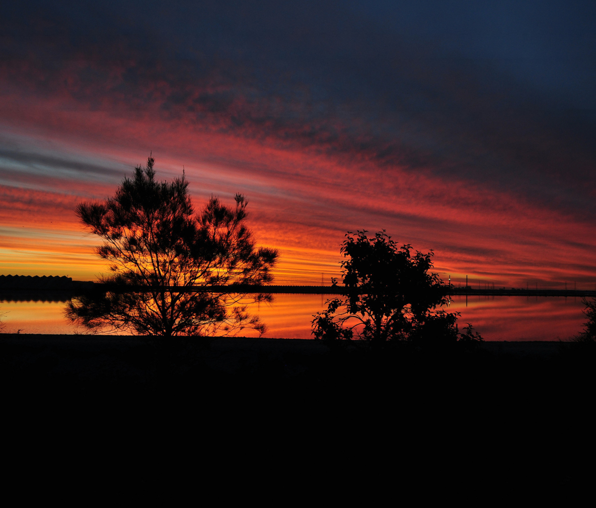 Обои Red Sunset And Dark Tree Silhouettes 1200x1024