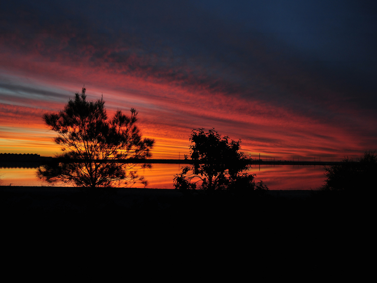Обои Red Sunset And Dark Tree Silhouettes 1280x960